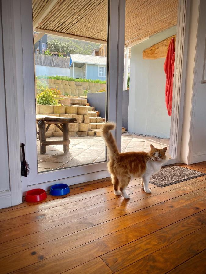 Villa Amanzi Hout Bay Eksteriør bilde